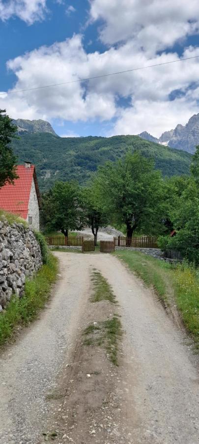 Maison d'hôtes Dritan Tethorja