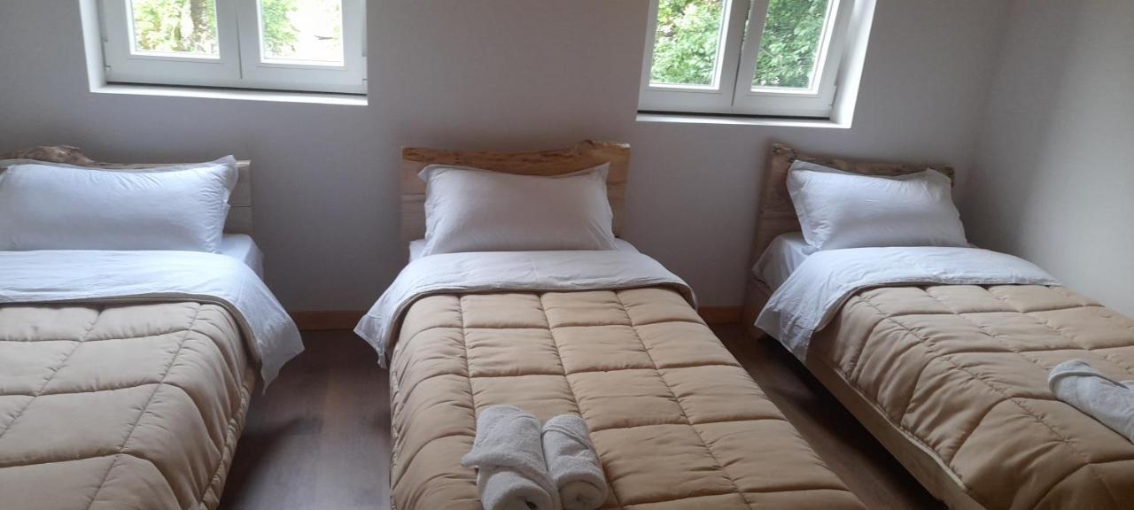 Maison d'hôtes Dritan Tethorja 4*