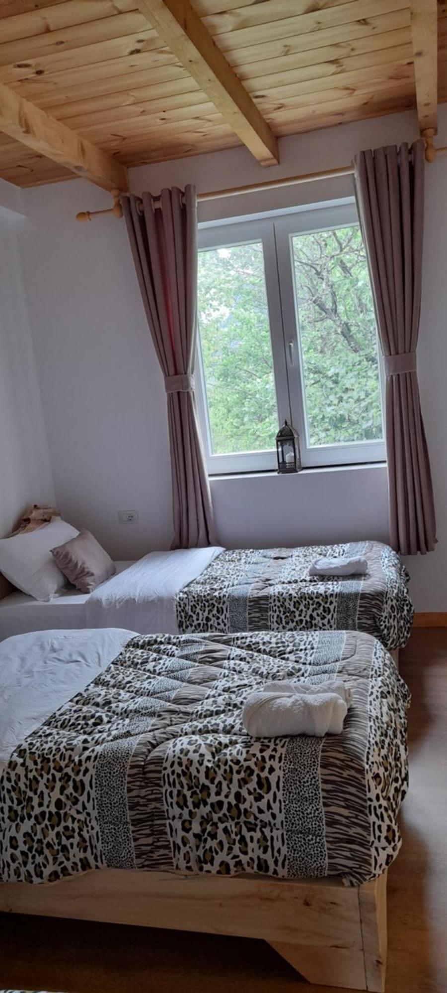 Dritan Tethorja 4*