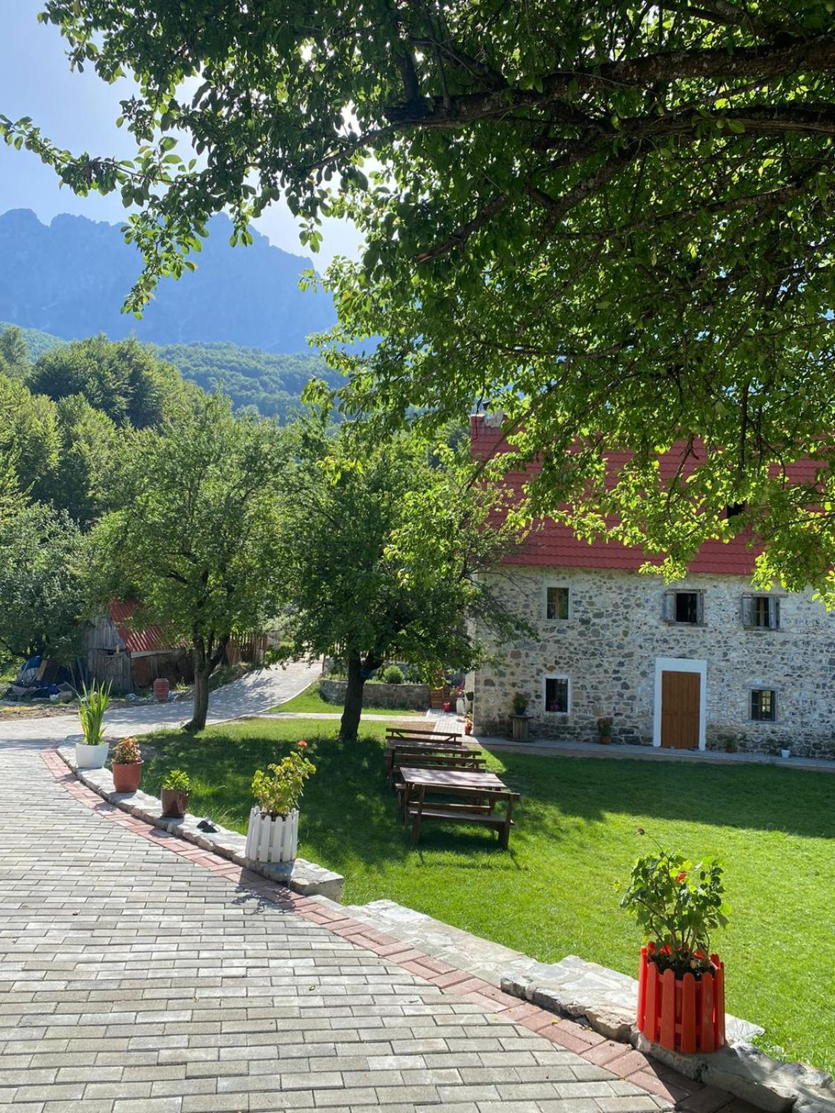 Maison d'hôtes Dritan Tethorja 4*