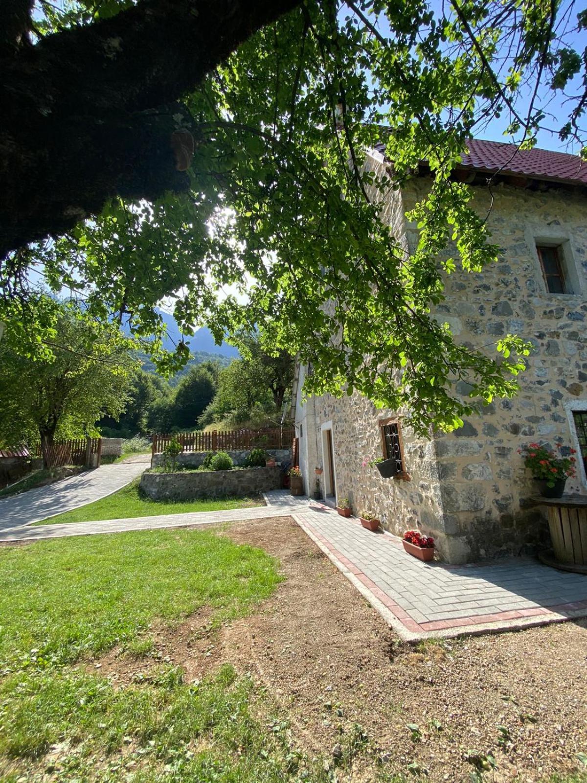 Dritan Tethorja Maison d'hôtes Theth