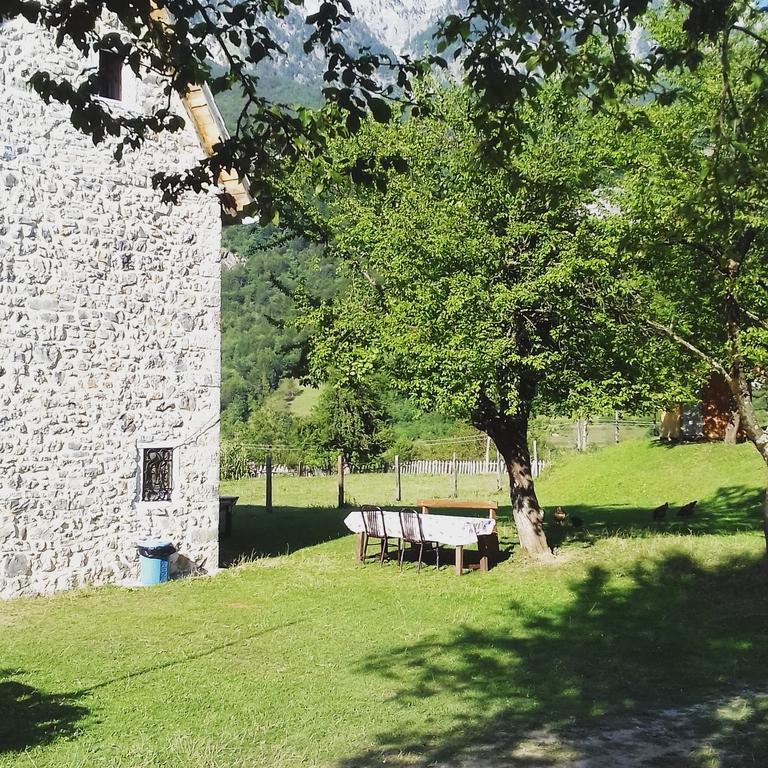 Dritan Tethorja Maison d'hôtes 4*