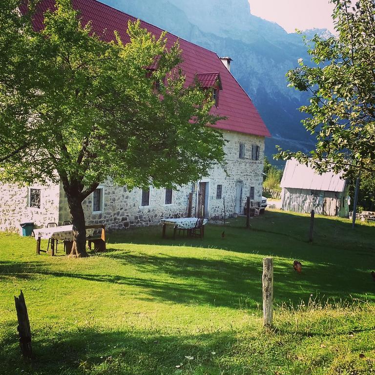 Maison d'hôtes Dritan Tethorja 4*