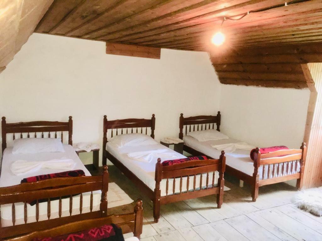 Dritan Tethorja Maison d'hôtes